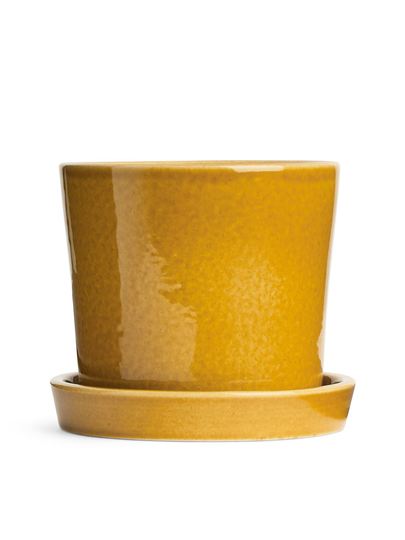 Terracotta Flower Pot 12 cm - Yellow