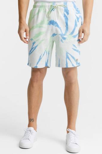 Dickies Shorts Seatac Short Grön