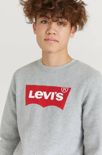 Levi's Sweatshirt LVB Batwing Crewneck Grå